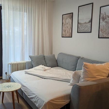 Bran: Design - Apartment Kueche, Parken ,Netflix Bad Rothenfelde Exterior foto